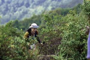 BIB: 
                            <button type="button" onclick="openModal(24765094)" class="btn btn-primary btn-sm float-right btn-popup" data-toggle="modal" data-target=".modal-high-quality">
                        <i class="fas fa-shopping-cart"></i> Add to Cart
                    </button>
                                            <button type="button" onclick="isThisMe(24765094, true)" class="btn btn-success btn-sm float-right btn-popup btn-isme hidden" data-toggle="tooltip" data-placement="bottom" title="นี่คือรูปของคุณใช่ไหม คลิกที่นี่เพื่อเอาเข้าอัลบั้ม">
                        <i class="fas fa-plus"></i> Add to album
                    </button>
                    <button type="button" onclick="isThisMe(24765094, false)" class="btn btn-warning btn-sm float-right btn-popup btn-isnotme hidden">
                        <i class="fas fa-ban"></i> Remove from album
                    </button>